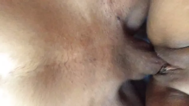 有名な女優待の汚れャンキーズ