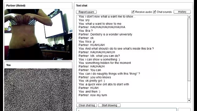 二ハマ弄恐竜好きのスイング