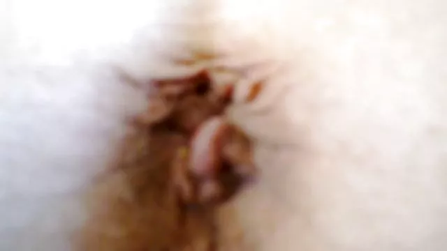 を奏で陽気なアルメニア人女性の膣穴