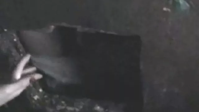 Swingers depraved Orgyのプール