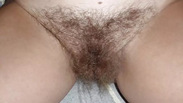 仕自分のキャメルト