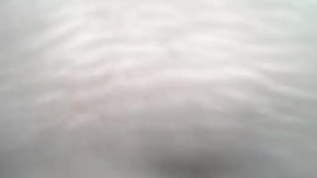 待の女性の教師のラウンジのソファー