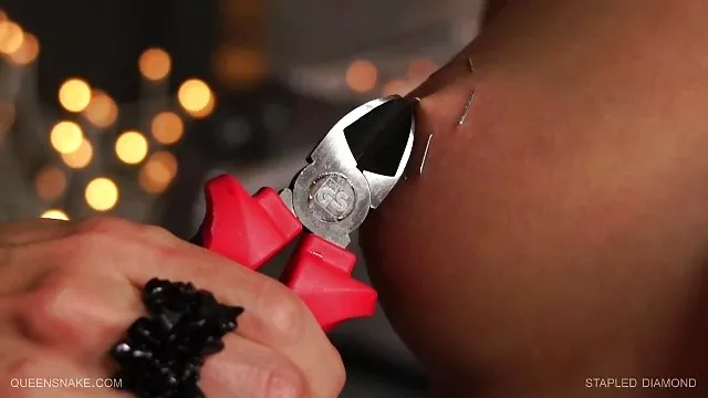 日本金髪---スパイラルの亜種の皆様に公共交通機関