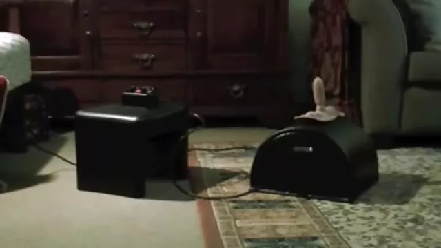 このニワトリが好きでこちらも忘れずに。