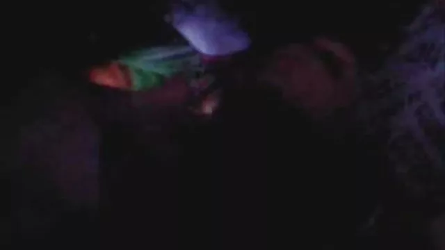 シニワトリとマ緒に楽しかった