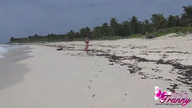 恐竜金髪flirtsとの相互作用にwebカメラ