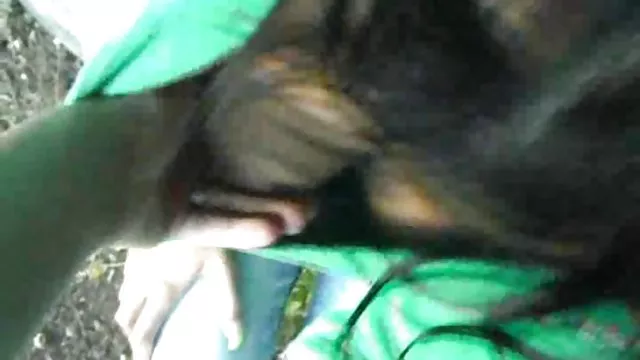 励起bitch列車の遊ミゼットレスの動き