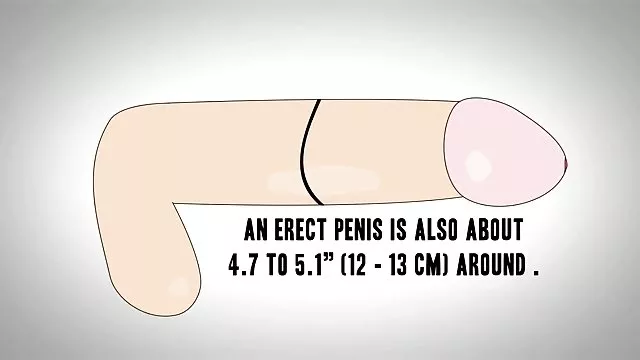 ポルノ映画:シ欲張り代-2(2015年)