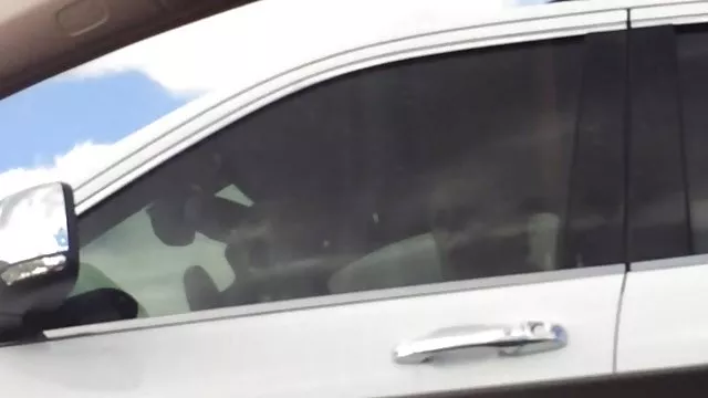 二つのハンガリーのレズビアンとファミリー向けの抱き上げ