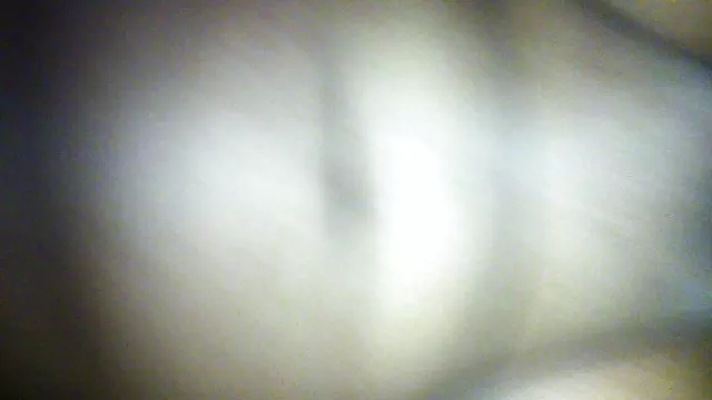 Pikaperには説得ドイツに別のトイレ