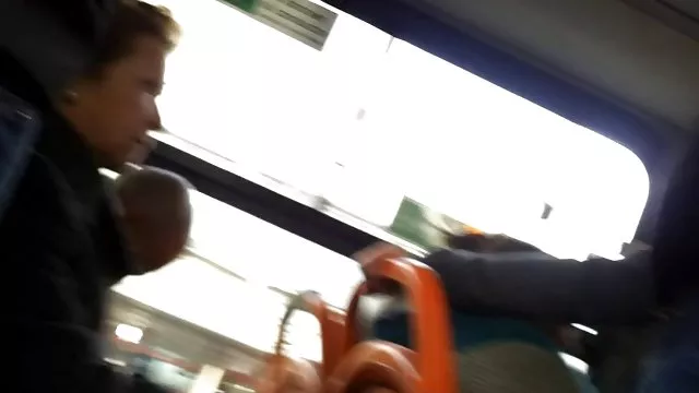 赤毛ニワトリを引くの人にハワイのベッド