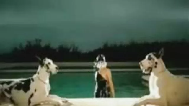 若きゲイFucksさんにお尻を開発