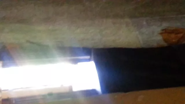 Radmila積極的に参間ロール