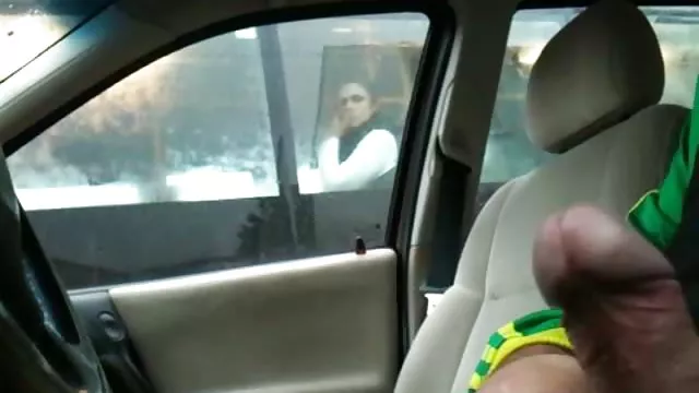 マスターピックアップ通りもの冬、ニワトリおよび積でホーム