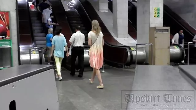 現実に美しいニワトリにある裸のハンモック