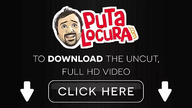 電力スタリオンを奏で、美しさを全