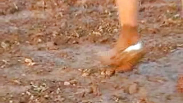 荒スタッドは、剛接続Spiers雛