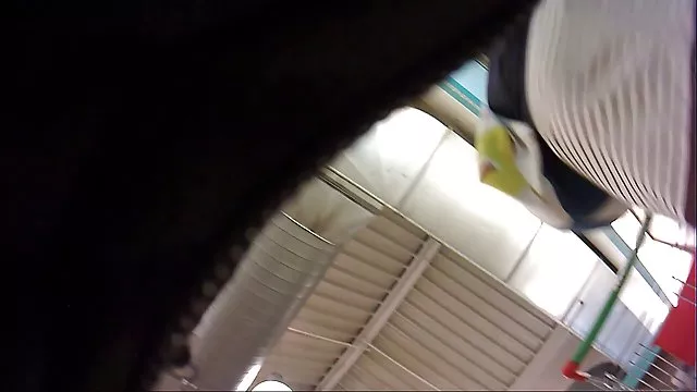 学生ガレroleplayingゲーム