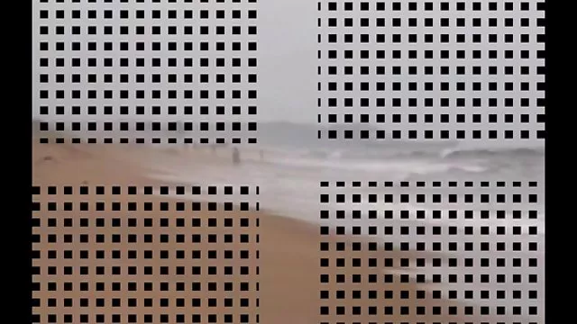 学生の試験に合格と性別