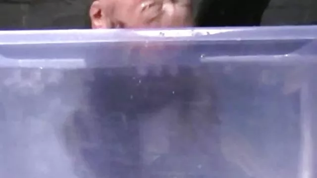 ホーム性ロシアの金髪や脂肪の彼氏