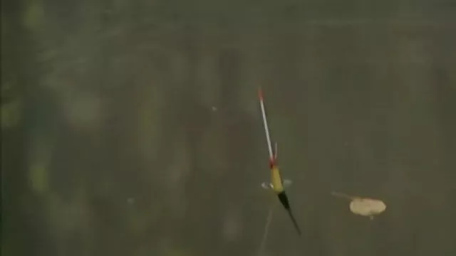 のっかったの母Cooney、熱心に聞"彼女はメインストリートパークシティ