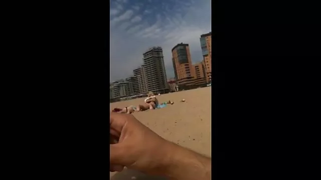 Pikaper向上を目的に、ニワトリ公園、単に彼女のブッシュ