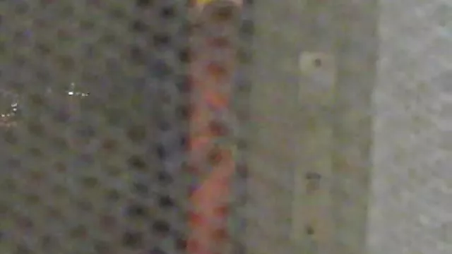 角質の息子たは母親と一緒に