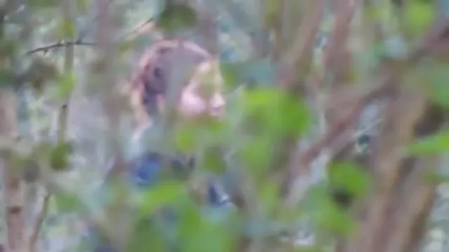 経験した女の子が男の品質Blowjob