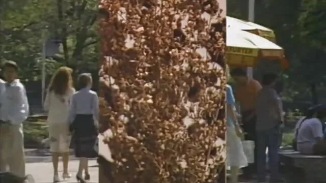 かわいい女の子の服は、他人男性