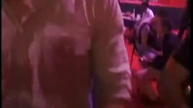 二つのブラジルと滑りの年齢に熱心ムナジロヒメウ-ウミガラスとスタリオン