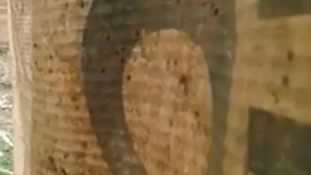 母親の喜びを吸いにくphallus男