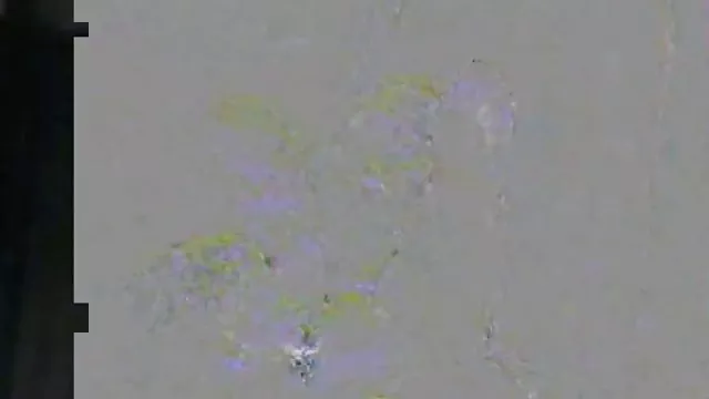 黒少女cumsるエロのマッサージ