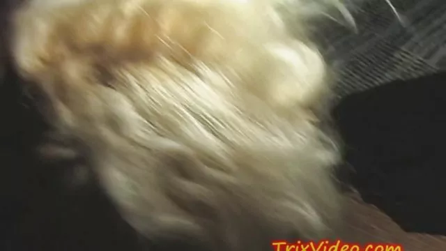 オクサーナ-吸いとね、タイル床呂