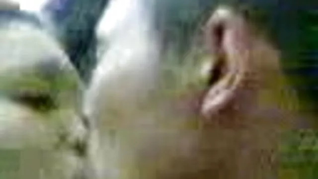 かわいいbabeケイシー基地熱Fucks見ず知らずの他人にの森