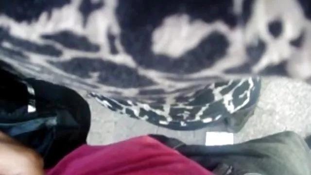 犬のショットの第一人様性とbitch