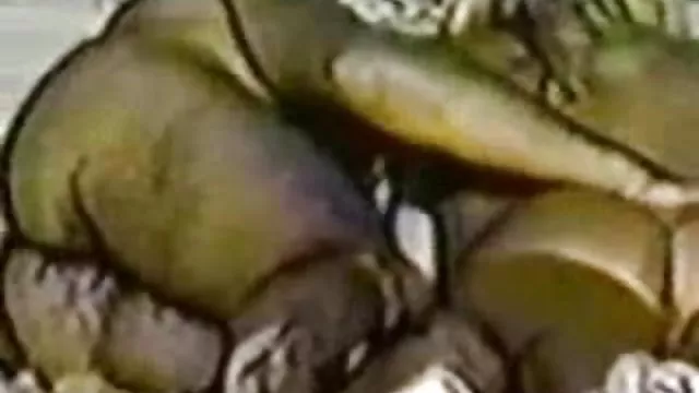 膨らませfag帯裸とjerksのボタンを押コックのソファ