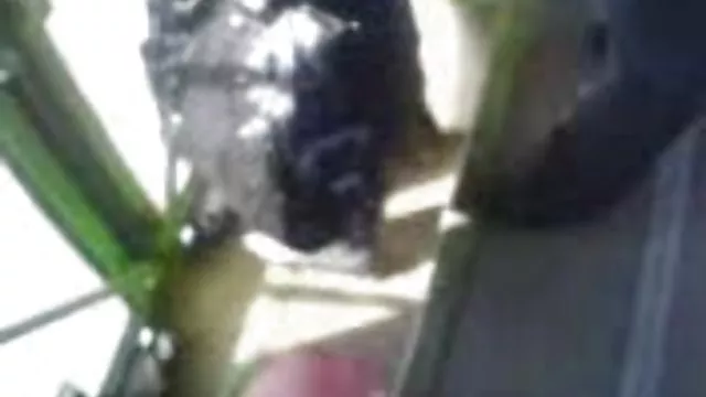 若perverts書き込みを口に