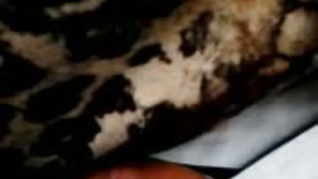 二slutty brunettesこちらも忘れずにお部屋男