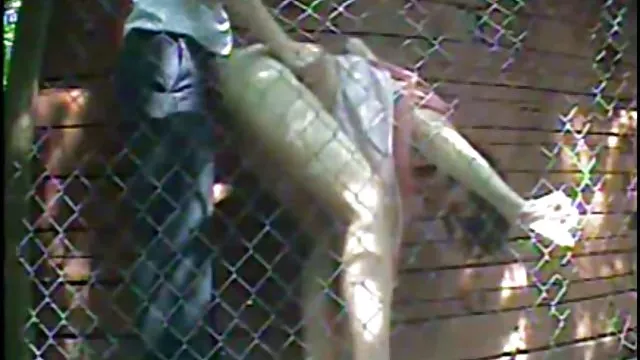 悩ましい雛undresses森の中の